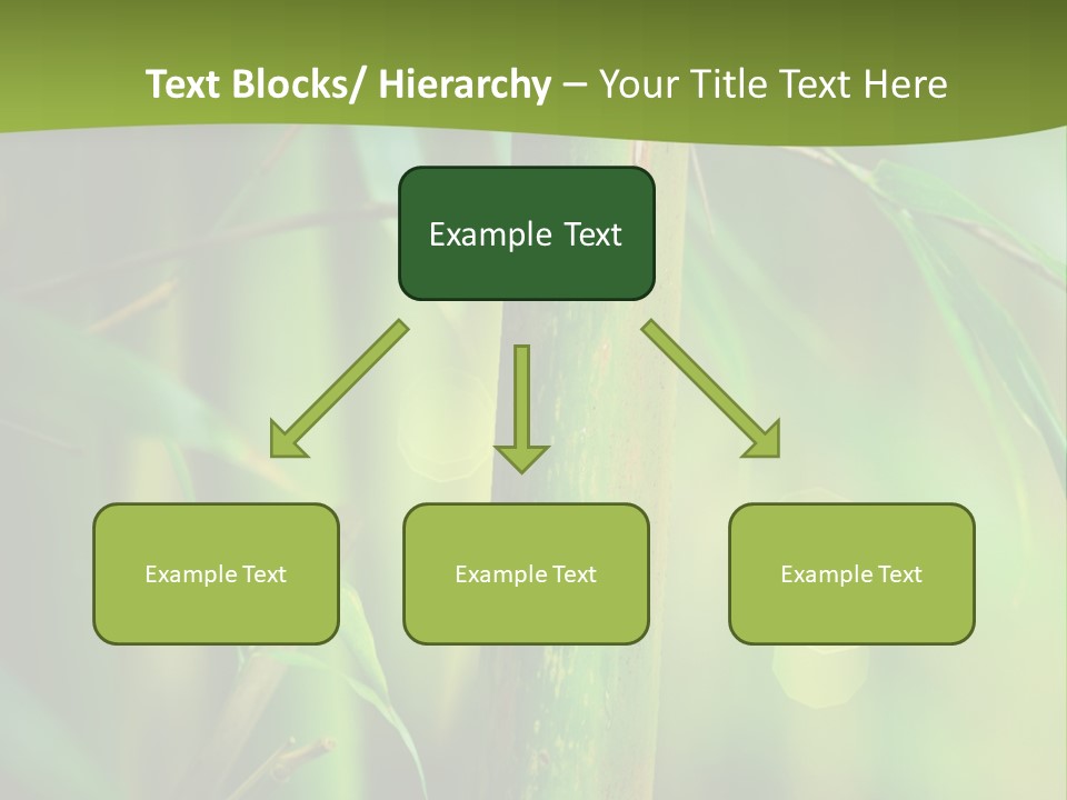 Background East Forest PowerPoint Template