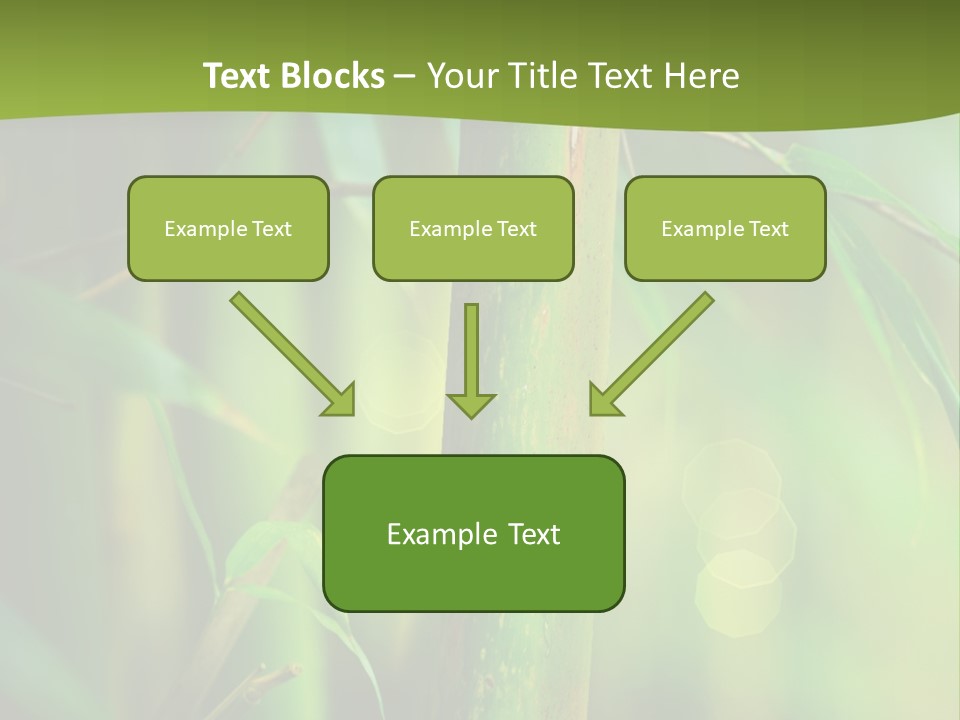 Background East Forest PowerPoint Template