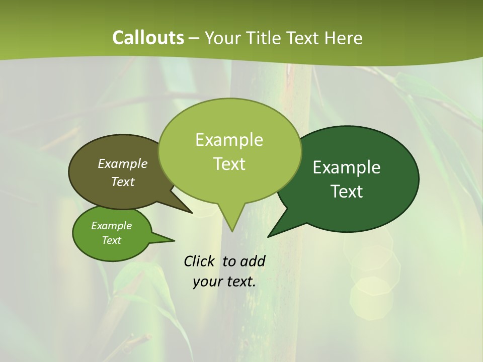 Background East Forest PowerPoint Template