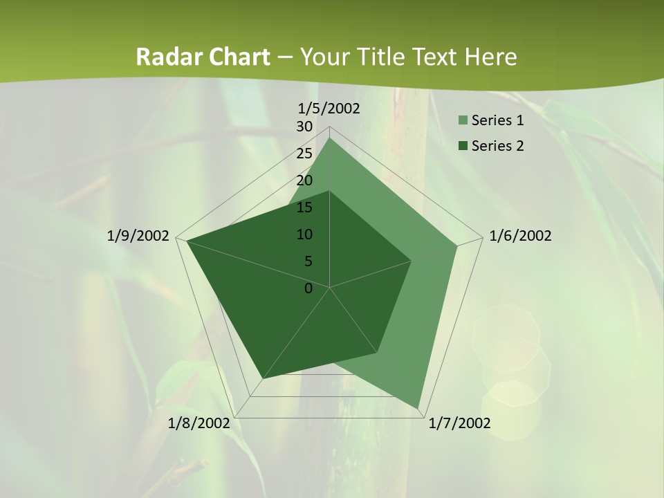 Background East Forest PowerPoint Template