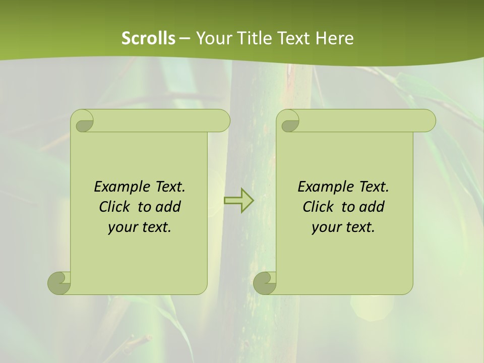 Background East Forest PowerPoint Template