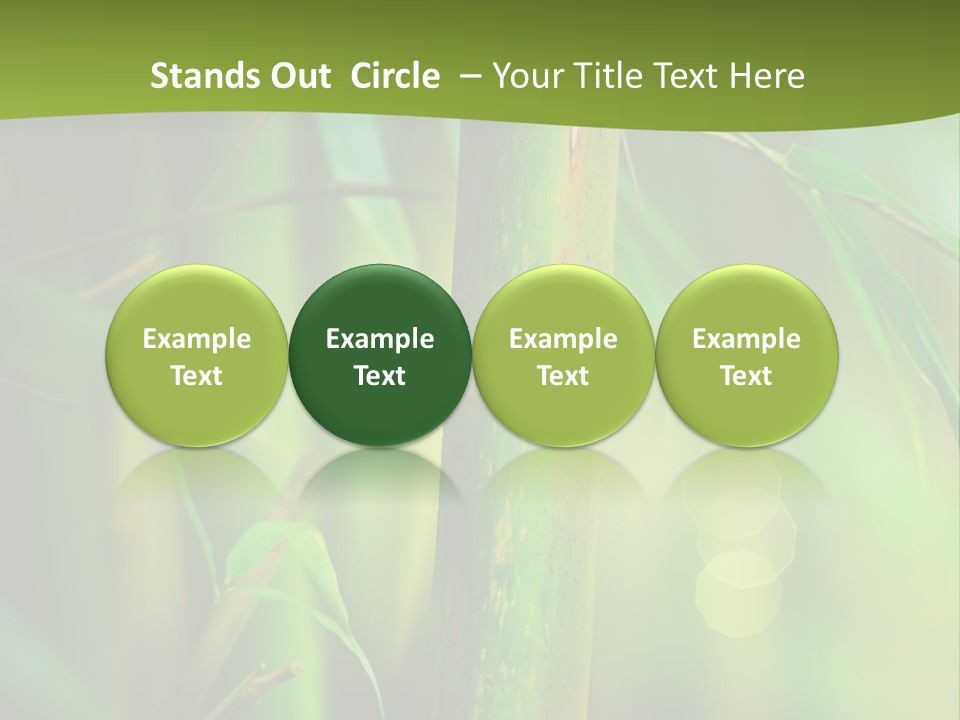 Background East Forest PowerPoint Template