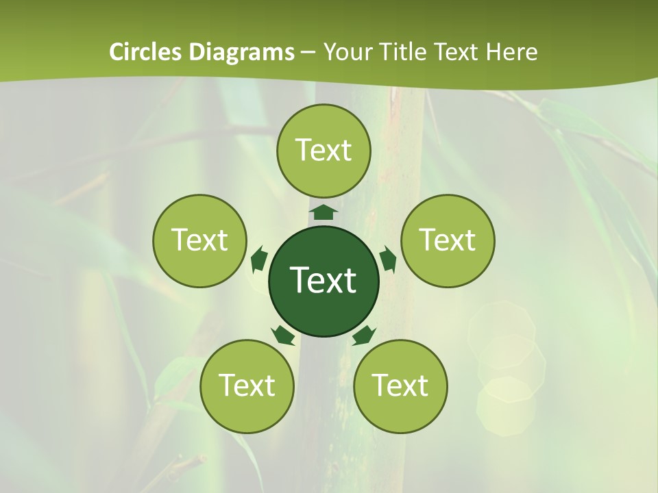 Background East Forest PowerPoint Template