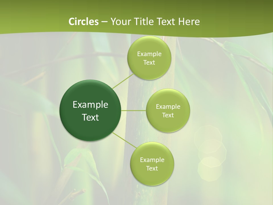 Background East Forest PowerPoint Template