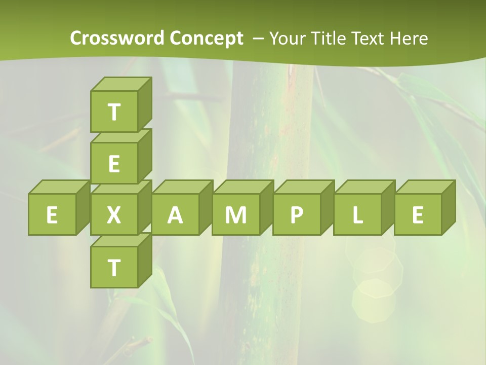 Background East Forest PowerPoint Template