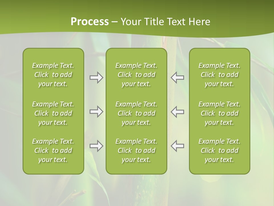 Background East Forest PowerPoint Template