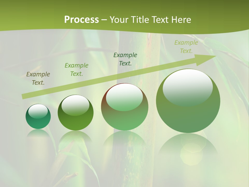 Background East Forest PowerPoint Template