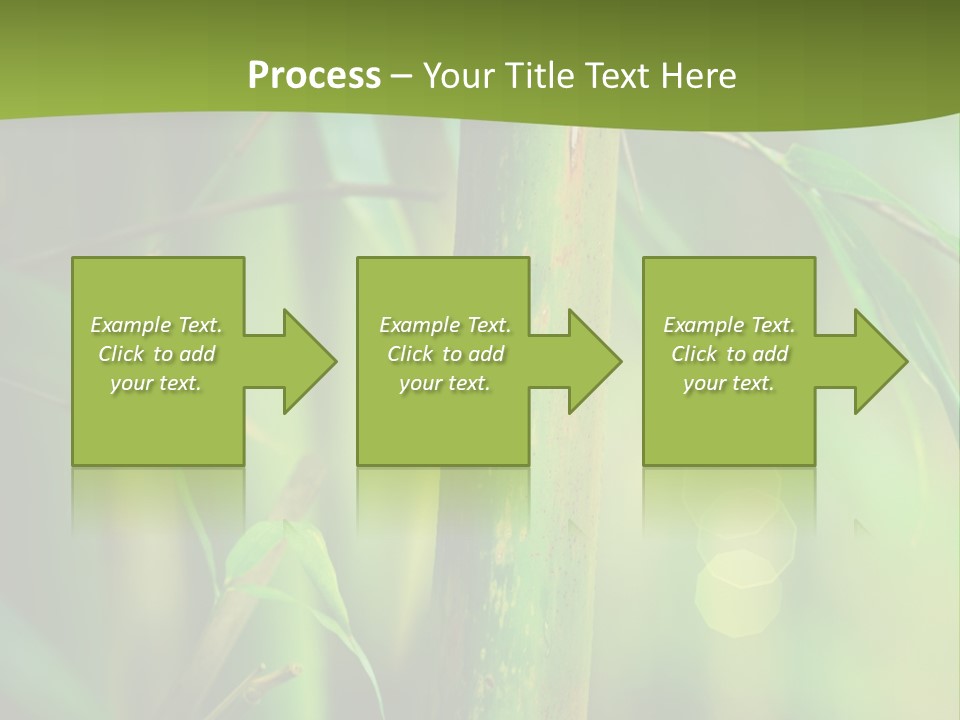 Background East Forest PowerPoint Template