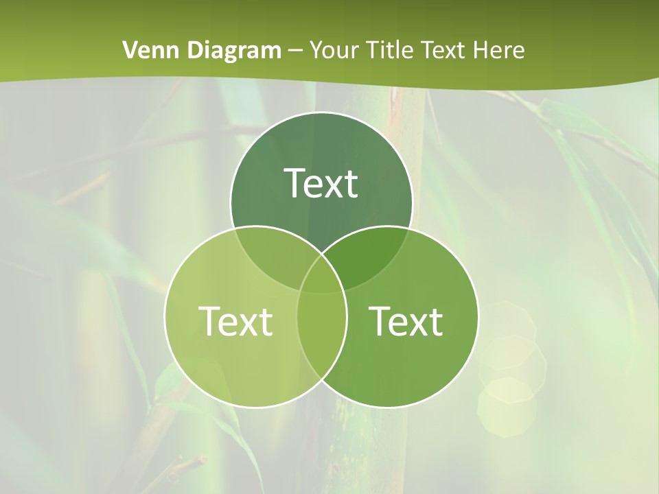 Background East Forest PowerPoint Template