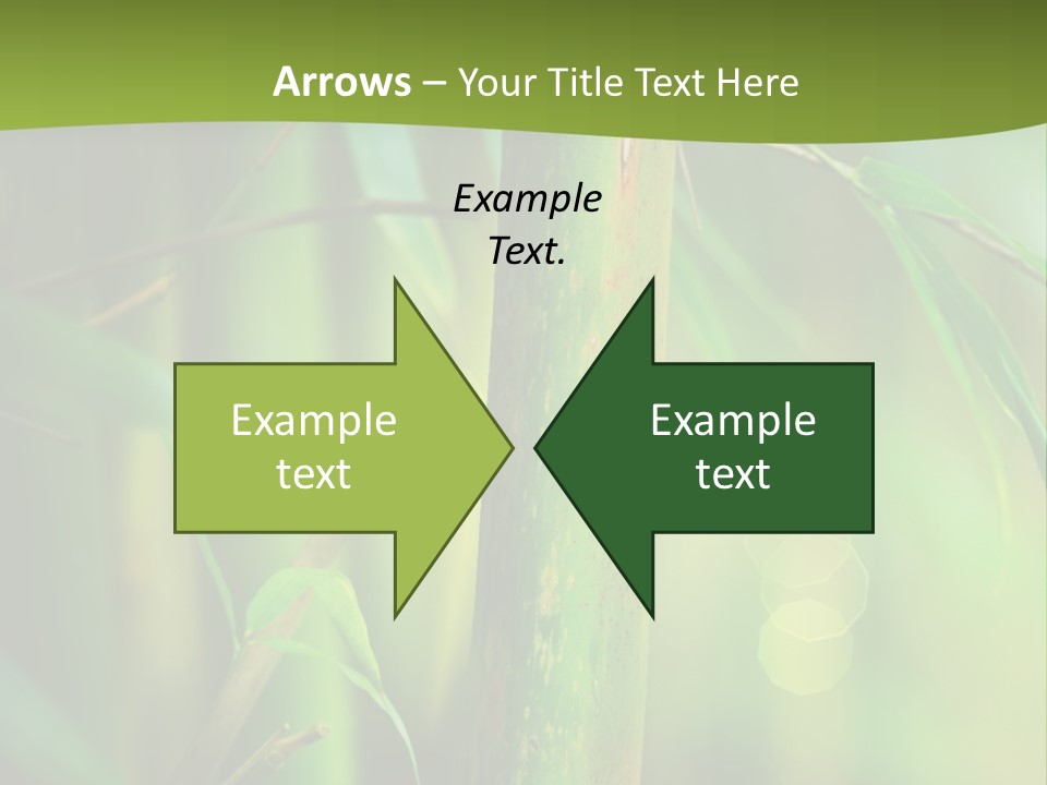 Background East Forest PowerPoint Template