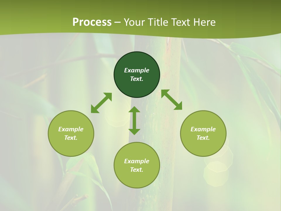 Background East Forest PowerPoint Template