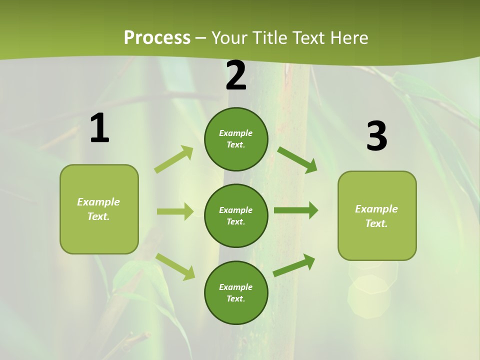 Background East Forest PowerPoint Template