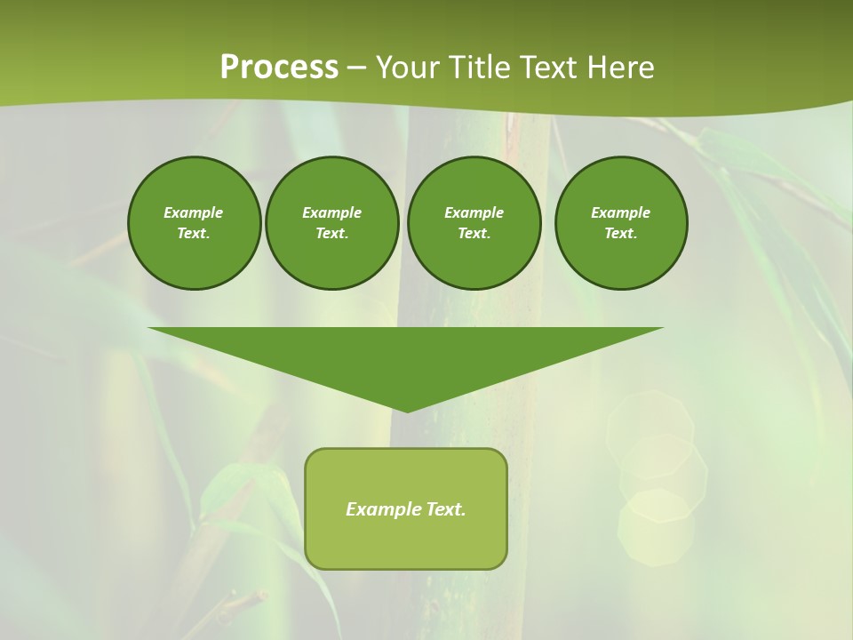 Background East Forest PowerPoint Template