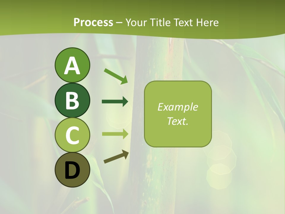 Background East Forest PowerPoint Template