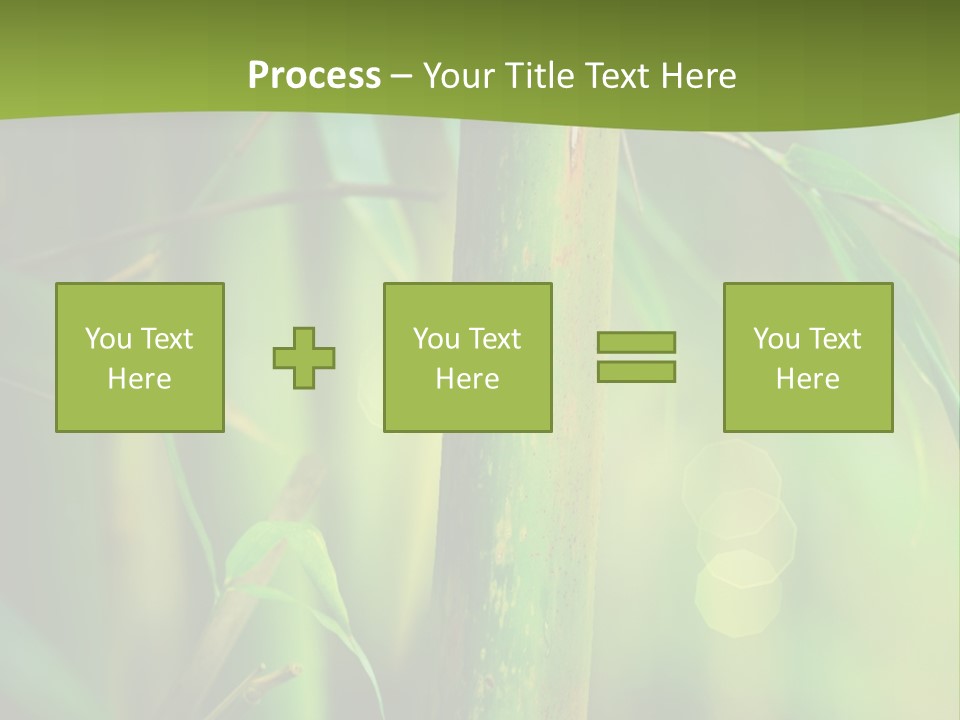 Background East Forest PowerPoint Template