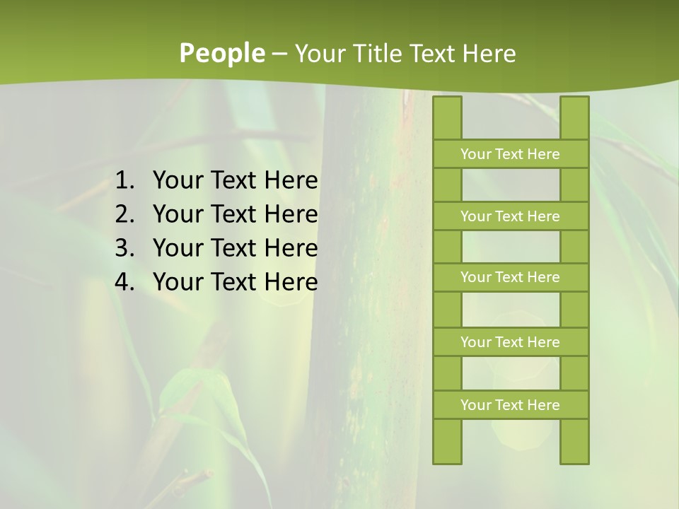 Background East Forest PowerPoint Template