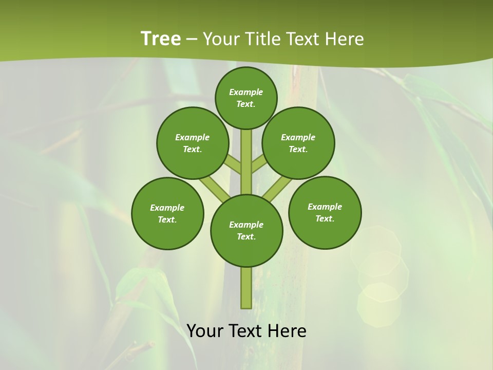 Background East Forest PowerPoint Template