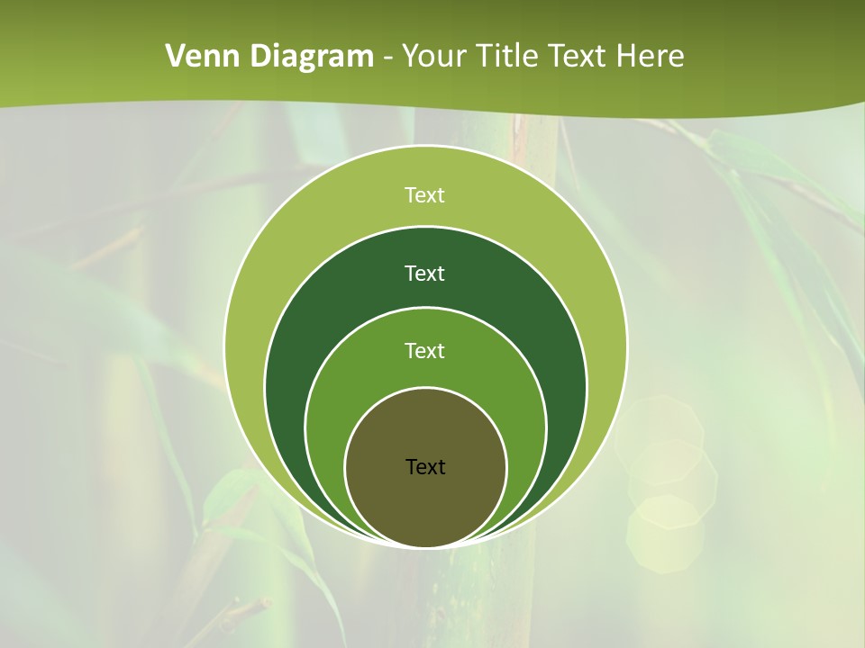 Background East Forest PowerPoint Template