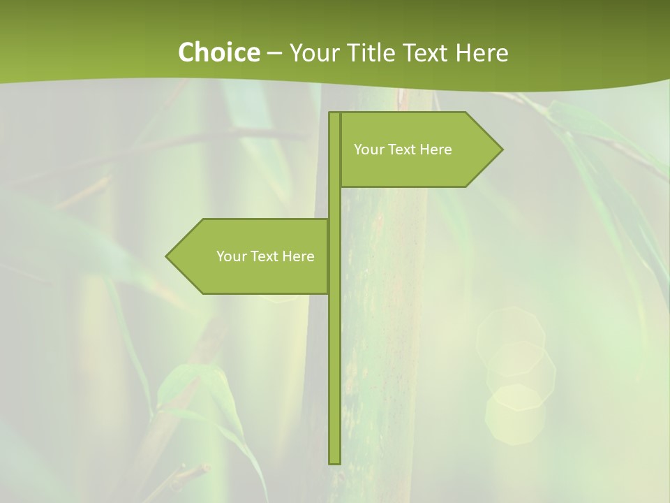 Background East Forest PowerPoint Template