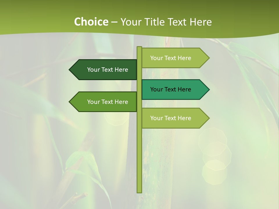 Background East Forest PowerPoint Template
