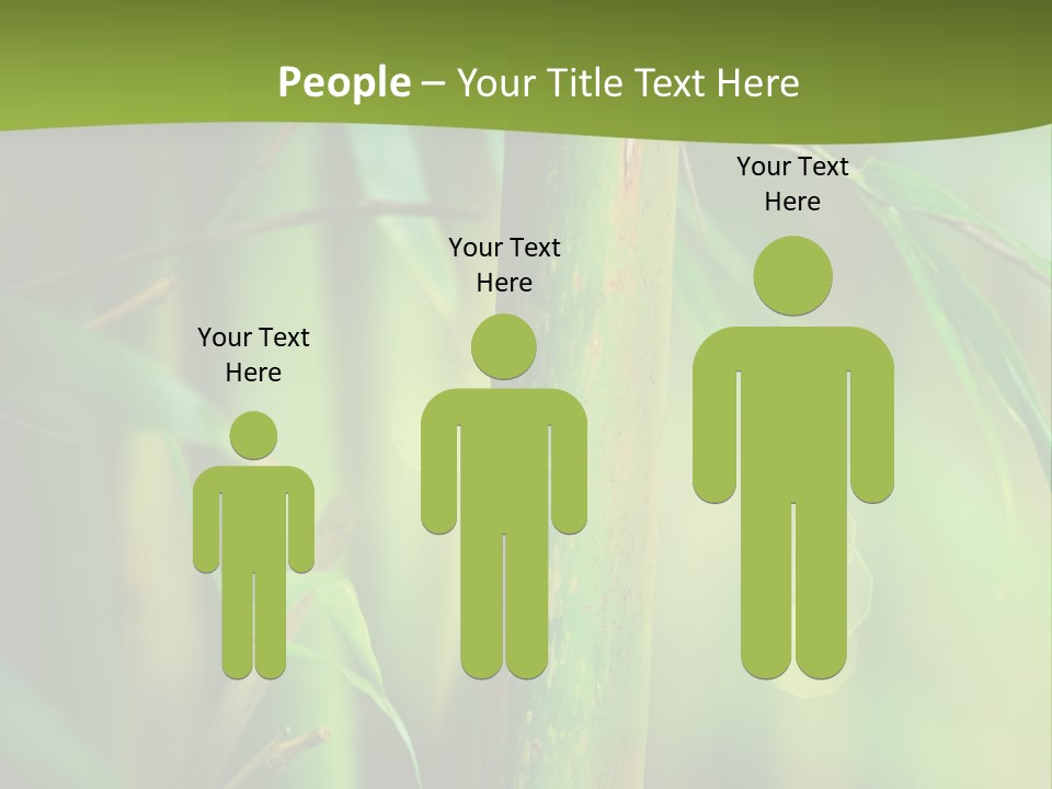 Background East Forest PowerPoint Template