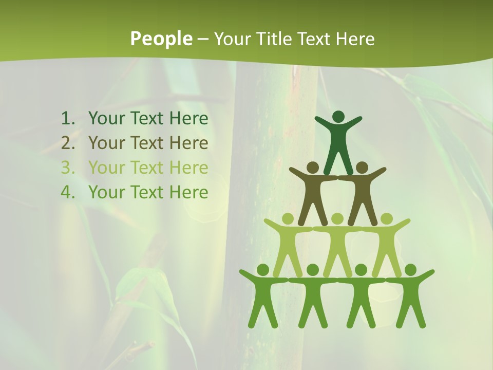 Background East Forest PowerPoint Template