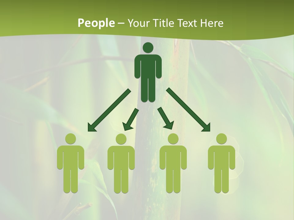 Background East Forest PowerPoint Template