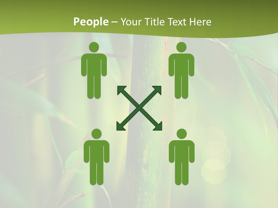 Background East Forest PowerPoint Template