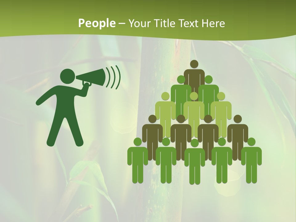 Background East Forest PowerPoint Template