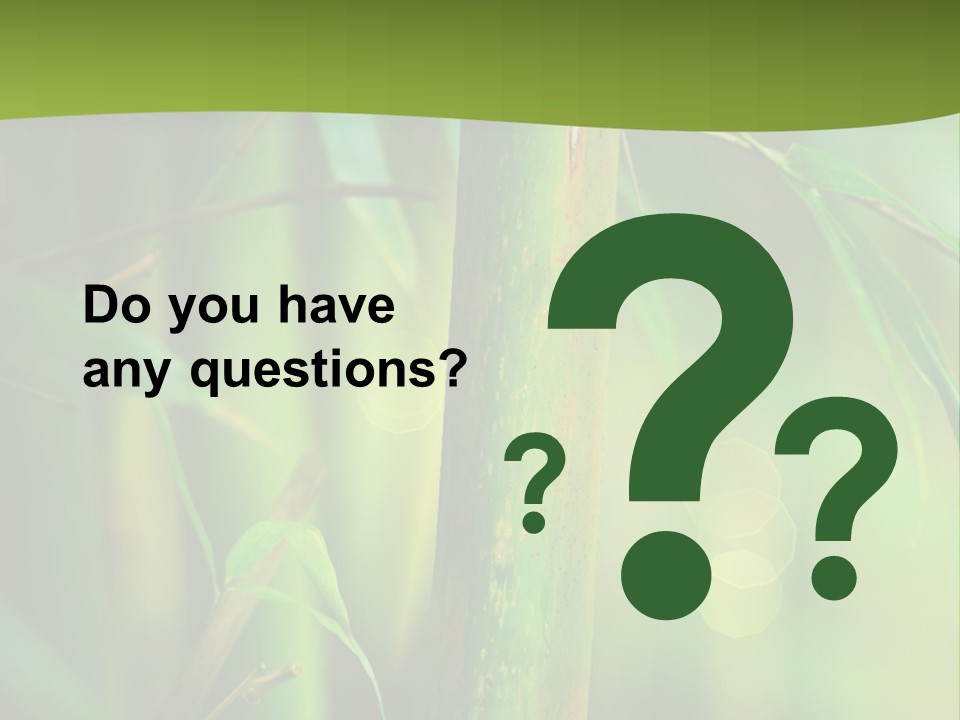 Background East Forest PowerPoint Template