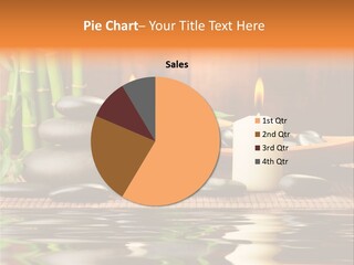 Still Plant Balance PowerPoint Template