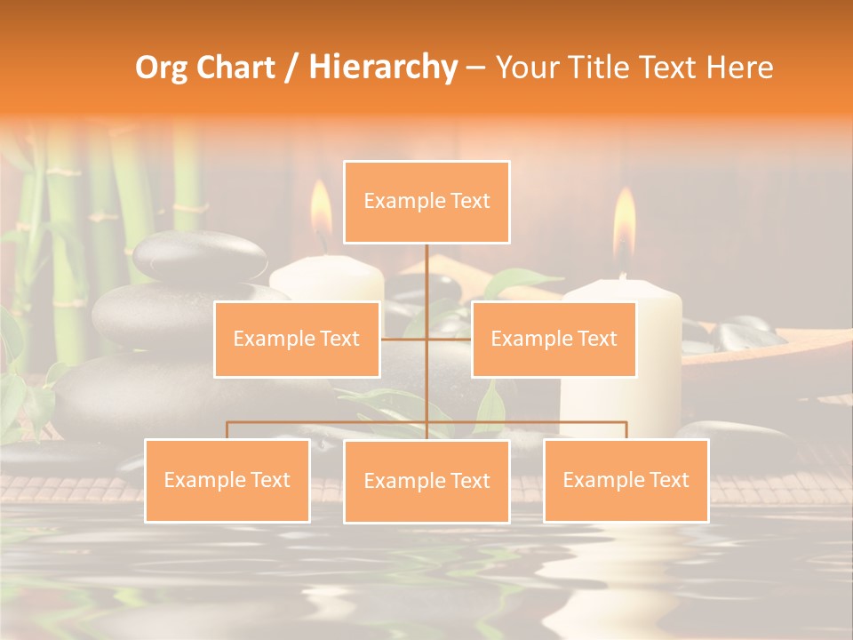 Still Plant Balance PowerPoint Template