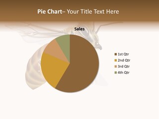 Wax Apiology Beekeeping PowerPoint Template