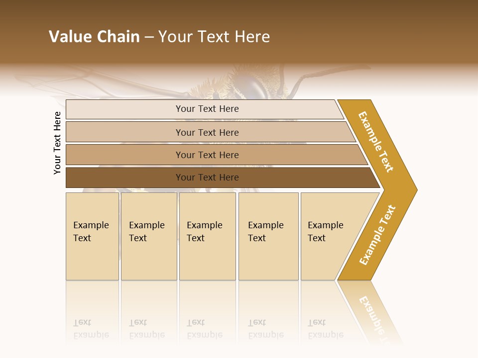 Wax Apiology Beekeeping PowerPoint Template