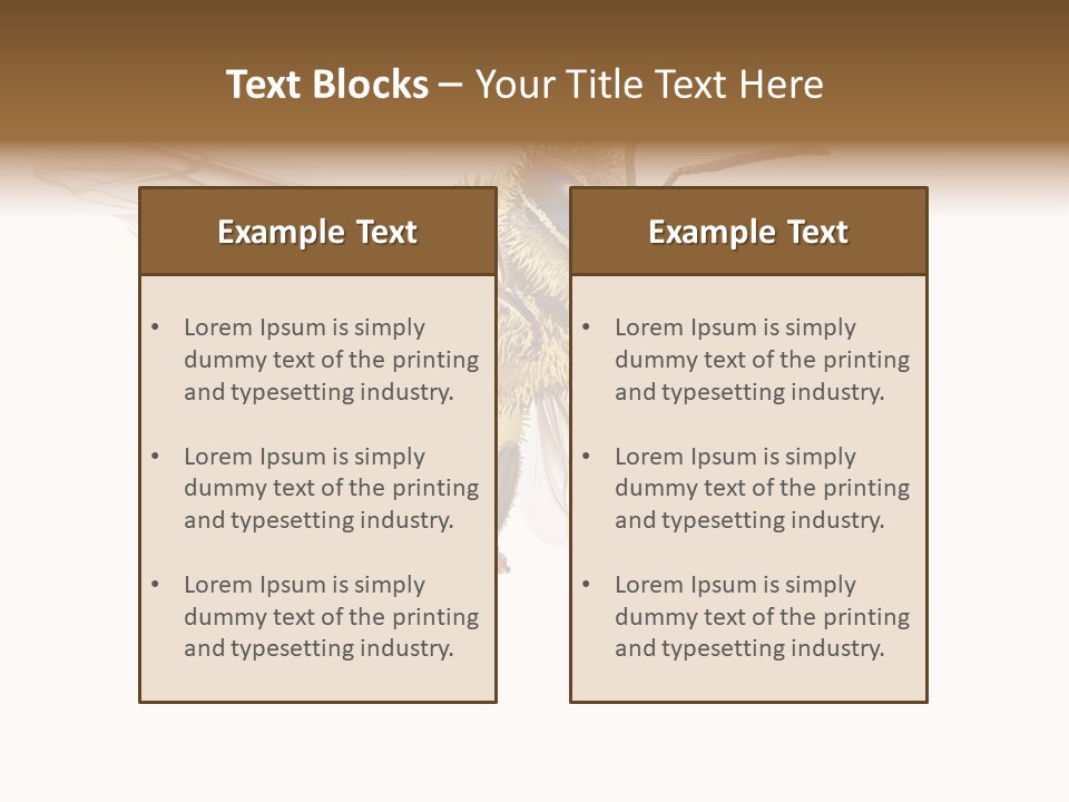 Wax Apiology Beekeeping PowerPoint Template