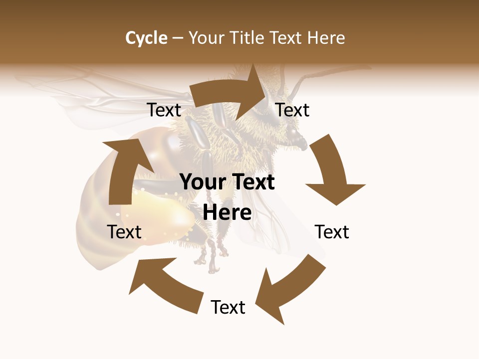 Wax Apiology Beekeeping PowerPoint Template