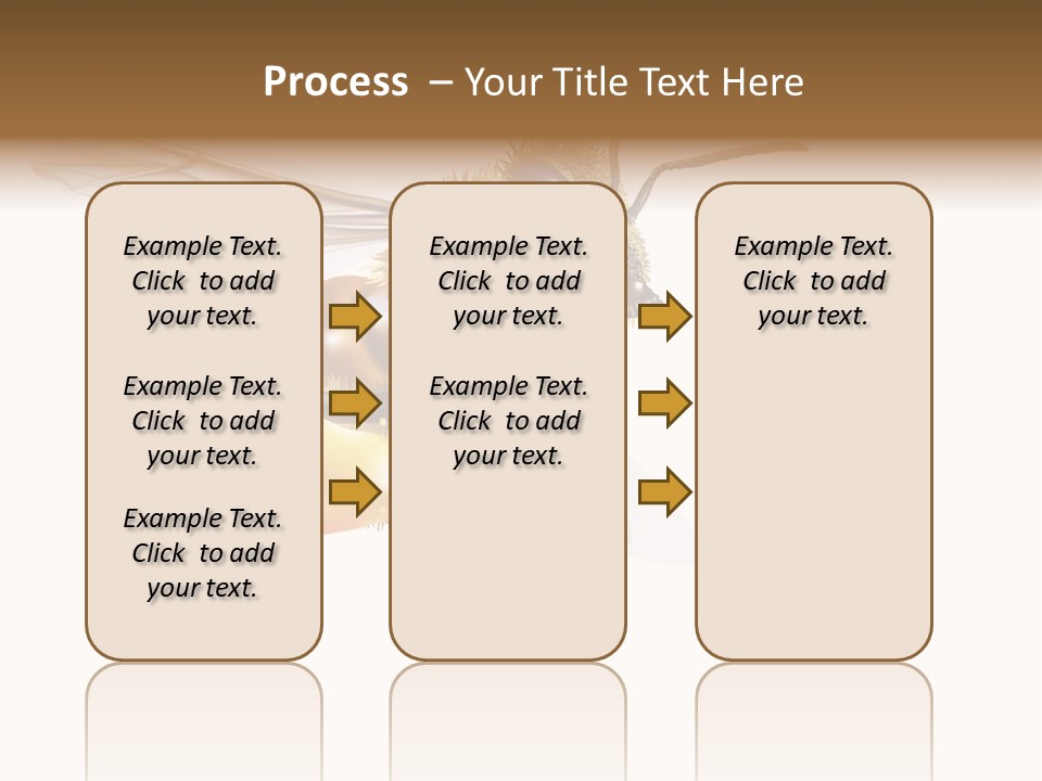 Wax Apiology Beekeeping PowerPoint Template