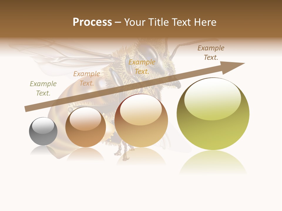 Wax Apiology Beekeeping PowerPoint Template