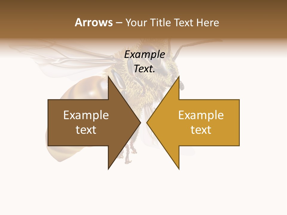 Wax Apiology Beekeeping PowerPoint Template