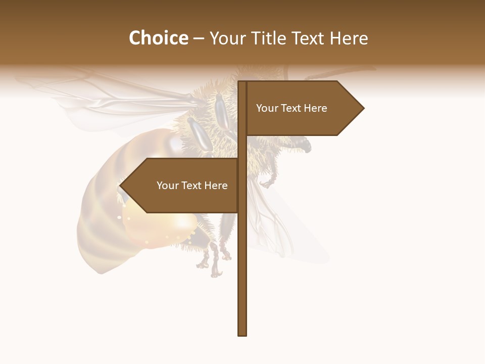 Wax Apiology Beekeeping PowerPoint Template