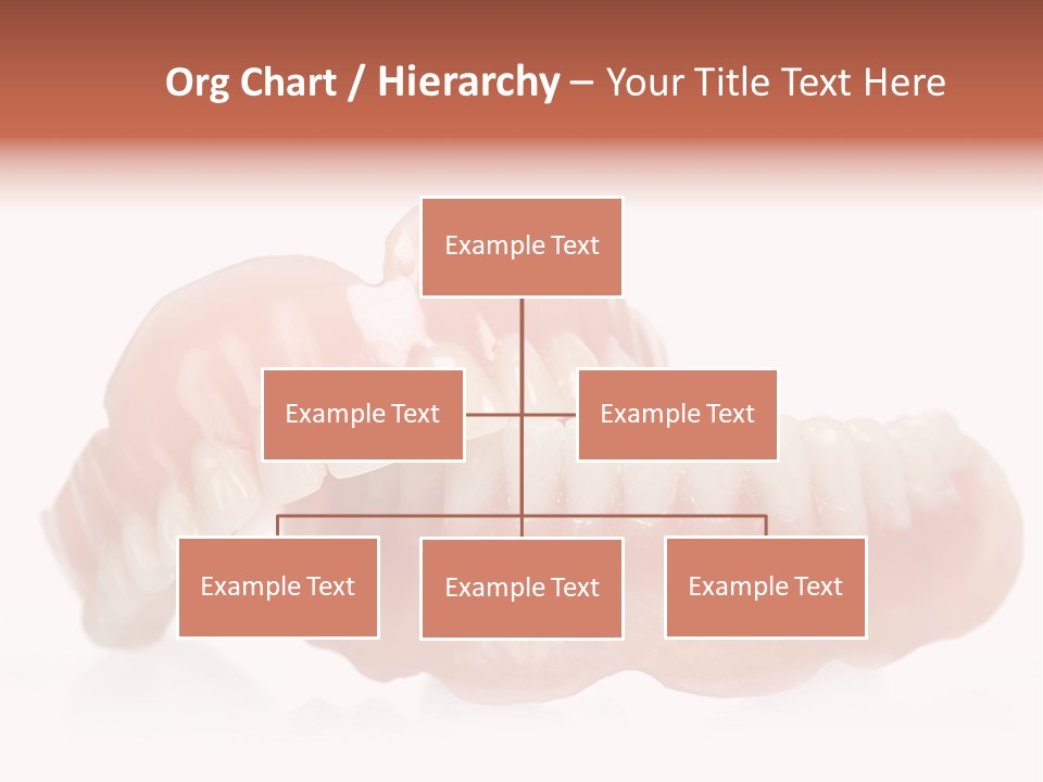 Corona Model Full PowerPoint Template