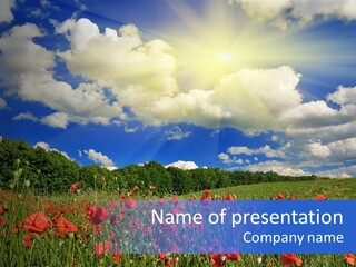 Sunrise Poppy Blue PowerPoint Template