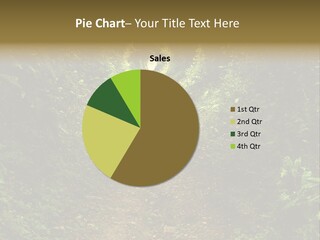 Nature Grass Rural PowerPoint Template