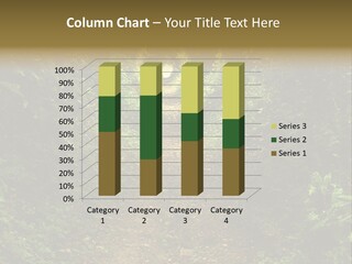 Nature Grass Rural PowerPoint Template