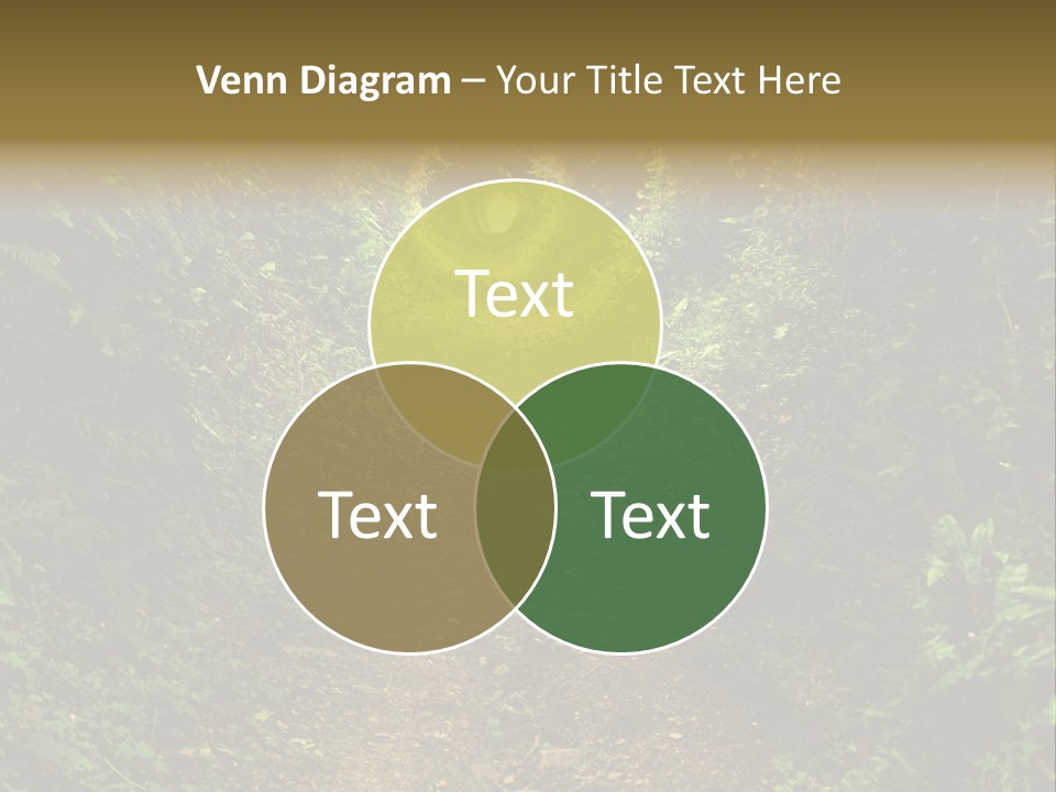 Nature Grass Rural PowerPoint Template