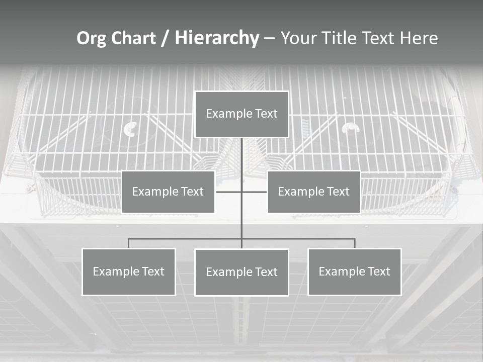 Construction Roof Systems PowerPoint Template