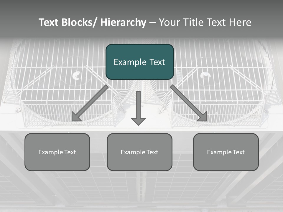 Construction Roof Systems PowerPoint Template