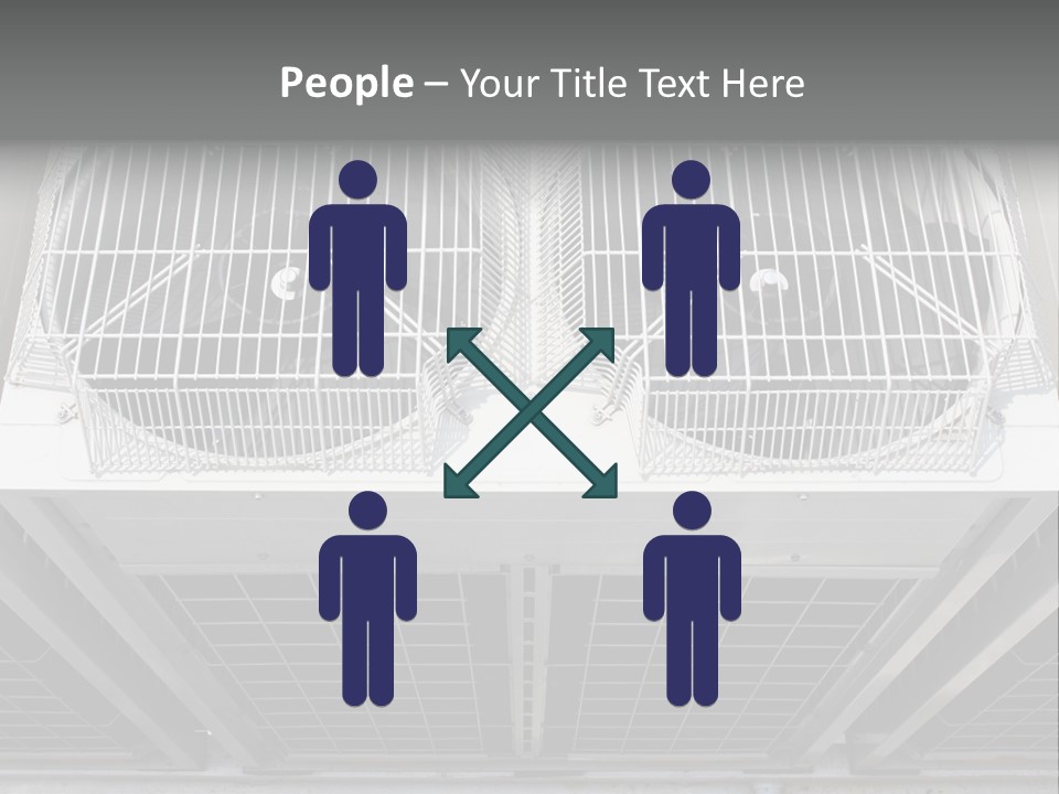 Construction Roof Systems PowerPoint Template