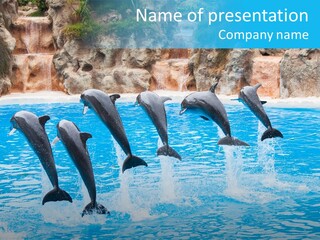 Tail Show Atlantic PowerPoint Template