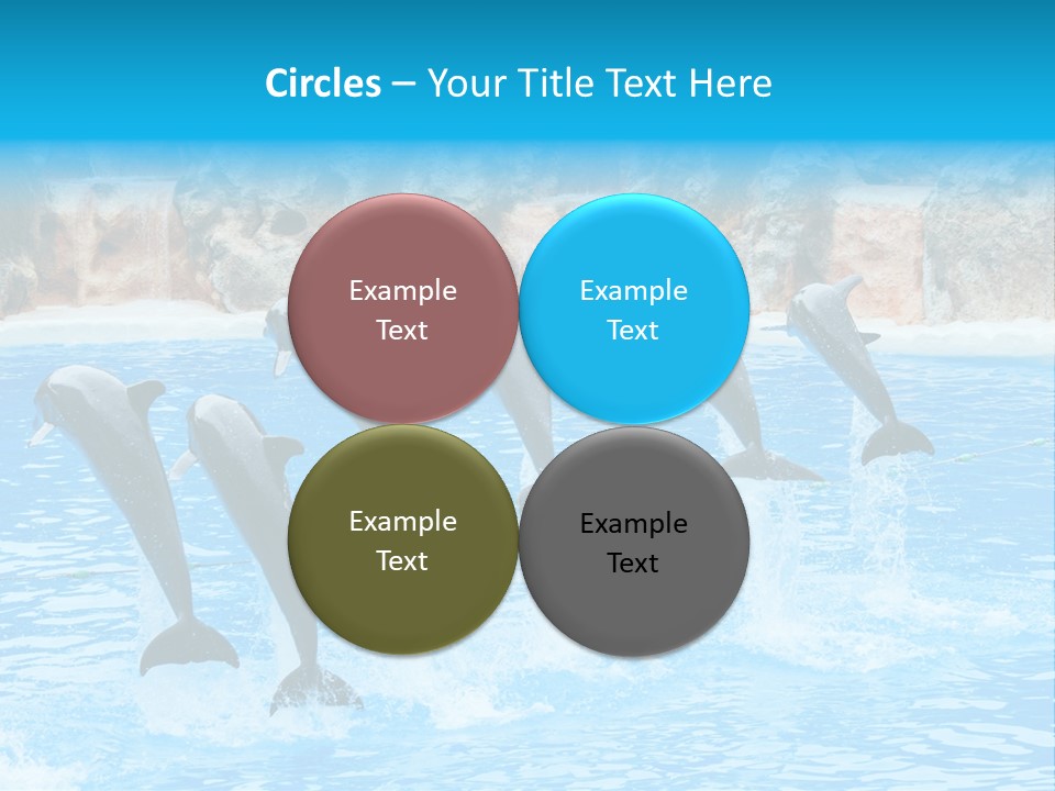 Tail Show Atlantic PowerPoint Template